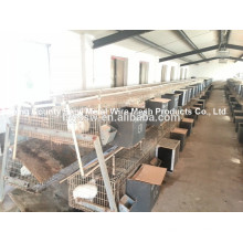 Welded Double Rabbit Cage Wire Mesh